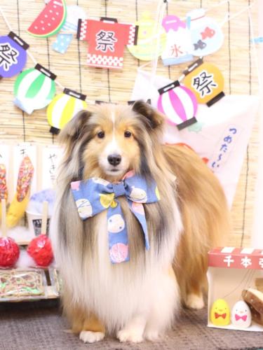 20240730ノアくん